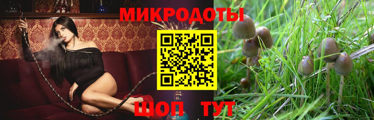 Минусинск  Галлюциногенные грибы прущие грибы  Псилоцибиновые грибы Psilocybe  Вход с VPN 